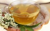 [ẢNH] Cải thiện giấc ngủ nhờ 8 loại trà thảo mộc