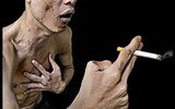 Để kiểm soát thuốc lá triệt để, các quốc gia trên thế giới làm gì?