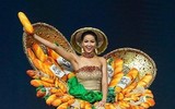 [ẢNH] Kỳ tích: Đại diện Việt Nam lần đầu lọt top 5 Hoa hậu Hoàn vũ Thế giới