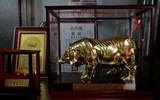 [ẢNH] Rùng mình trước những lễ hội phản cảm nhất thế giới