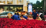 [ẢNH] Đường phố Hà Nội trang hoàng trước thềm hội nghị thượng đỉnh Mỹ - Triều Tiên