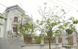 [ẢNH] Choáng ngợp trước những 