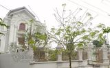 [ẢNH] Choáng ngợp trước những 