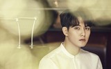 [ẢNH] Sự nghiệp rộng mở của các sao Hàn trước khi sụp đổ do bê bối mại dâm