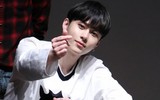 [ẢNH] Sự nghiệp rộng mở của các sao Hàn trước khi sụp đổ do bê bối mại dâm