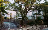 [ẢNH] Chiêm ngưỡng nhưng khu phố thiên đường, nơi 