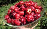 [ẢNH] Những loại củ quả thanh lọc gan nên ăn hàng ngày