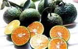 [ẢNH] Những loại củ quả thanh lọc gan nên ăn hàng ngày
