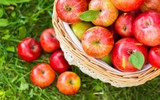 [ẢNH] Những loại củ quả thanh lọc gan nên ăn hàng ngày