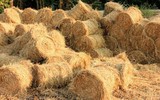 [ẢNH] Những phương pháp chăm sóc sức khỏe lạ kỳ nhất trên thế giới