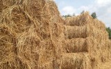 [ẢNH] Những phương pháp chăm sóc sức khỏe lạ kỳ nhất trên thế giới