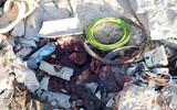 [ẢNH] Hiện trường ngổn ngang sau vụ không kích vào trại tạm giữ ở Libya