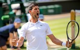 [ẢNH] Bảng thành tích đáng nể của Novak Djokovic sau khi lên ngôi vương Wimbledon 2019