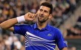 [ẢNH] Bảng thành tích đáng nể của Novak Djokovic sau khi lên ngôi vương Wimbledon 2019