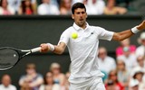 [ẢNH] Bảng thành tích đáng nể của Novak Djokovic sau khi lên ngôi vương Wimbledon 2019