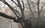 [ẢNH] Bí ẩn trong những 