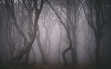 [ẢNH] Bí ẩn trong những 