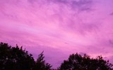 [ẢNH] Bầu trời Nhật Bản chuyển màu tím 