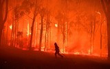 [ẢNH] Sau hơn 10 ngày, Australia vẫn 