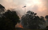 [ẢNH] Sau hơn 10 ngày, Australia vẫn 