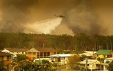 [ẢNH] Sau hơn 10 ngày, Australia vẫn 