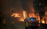 [ẢNH] Sau hơn 10 ngày, Australia vẫn 