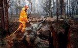 [ẢNH] Sau hơn 10 ngày, Australia vẫn 