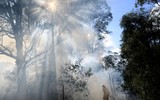 [ẢNH] Sau hơn 10 ngày, Australia vẫn 