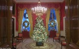 [ẢNH] Đệ nhất phu nhân nước Mỹ Melania Trump trang hoàng Nhà Trắng đón Giáng sinh 2019