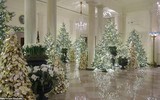 [ẢNH] Đệ nhất phu nhân nước Mỹ Melania Trump trang hoàng Nhà Trắng đón Giáng sinh 2019