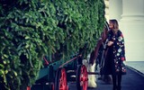 [ẢNH] Đệ nhất phu nhân nước Mỹ Melania Trump trang hoàng Nhà Trắng đón Giáng sinh 2019