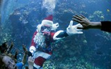 [ẢNH] Không khí Giáng sinh ngập tràn, những ông già Noel xuất hiện tại nhiều quốc gia trên thế giới