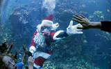 [ẢNH] Không khí Giáng sinh ngập tràn, những ông già Noel xuất hiện tại nhiều quốc gia trên thế giới