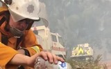 [ẢNH] Australia vẫn căng thẳng tìm cách dập tắt những đám cháy rừng