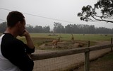 [ẢNH] Xúc động những hình ảnh giải cứu động vật bị nguy hiểm do cháy rừng tại Australia