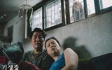 [ẢNH] Lễ trao giải Oscar 2020: Những giải thưởng nổi bật nhất và chiến thắng ngoạn mục của 