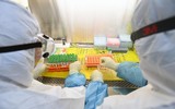 [ẢNH] Nhìn lại cuộc chiến chống dịch bệnh ở Vũ Hán từ khi virus corona khởi phát tới nay