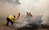 [ẢNH] Trước Covid-19, những sự kiện nào trong năm 2019 từng làm thế giới chấn động?