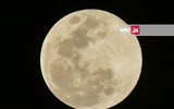 [ẢNH] Chiêm ngưỡng 