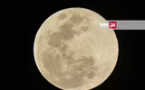 [ẢNH] Chiêm ngưỡng 