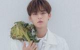[ẢNH] Bị chỉ trích, loạt sao K-Pop thừa nhận từng đến ổ dịch Covid-19 tại Itaewon