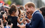 [ẢNH] Kỷ niệm ngày cưới: Những hình ảnh vợ chồng Hoàng tử Harry và Công nương Meghan trong 2 năm qua
