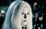[ẢNH] Ngoài 