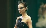 [ẢNH] Trình độ học vấn cao đáng nể của dàn sao Hollywood