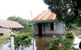 Ngập lụt tại TP Cần Thơ: Người dân khóc 