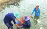 Ngập lụt tại TP Cần Thơ: Người dân khóc 