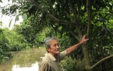Ngập lụt tại TP Cần Thơ: Người dân khóc 