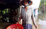 Ngập lụt tại TP Cần Thơ: Người dân khóc 