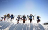 Ngắm những hình ảnh tuyệt đẹp về người phụ nữ Việt chịu thương chịu khó