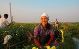 Ngắm những hình ảnh tuyệt đẹp về người phụ nữ Việt chịu thương chịu khó